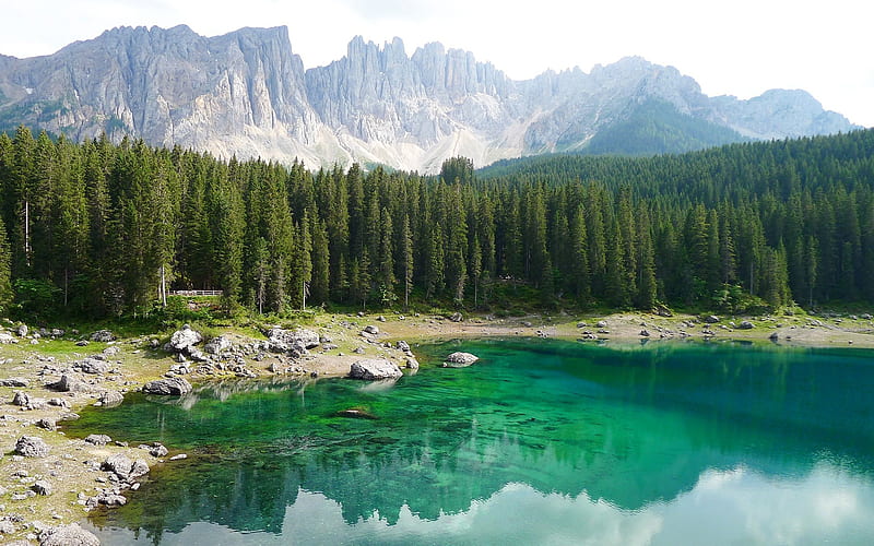 Karersee, Mountain lake, forest, mountains, South Tyrol, Dolomites, Italy, HD wallpaper