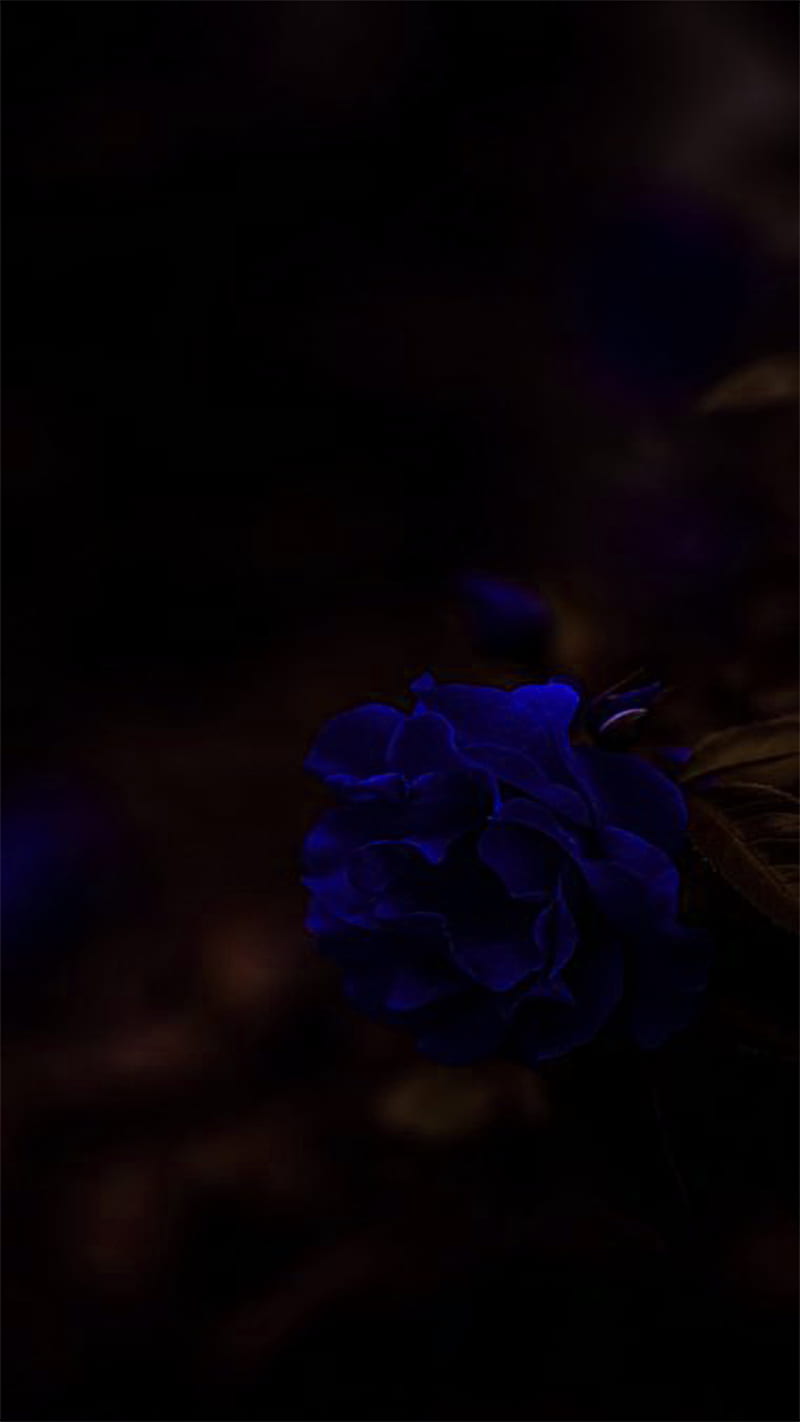 Blue iphone11 pro, 2019, iphone11 pro, love, new, HD mobile wallpaper