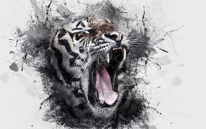 tiger, grunge, creative, art, watercolor, HD wallpaper