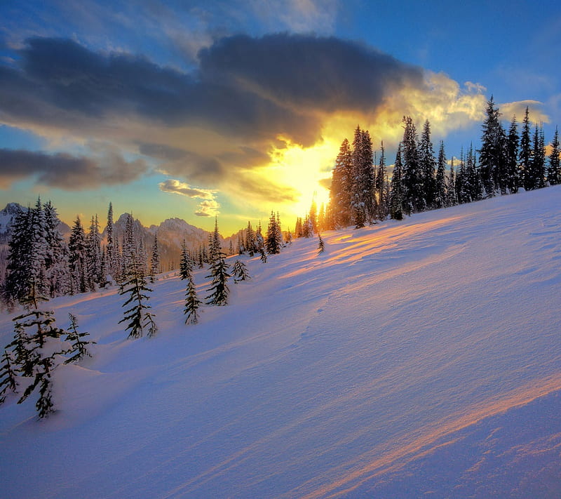 40 Hd Wallpaper Winter Landscape Wallpapersafari