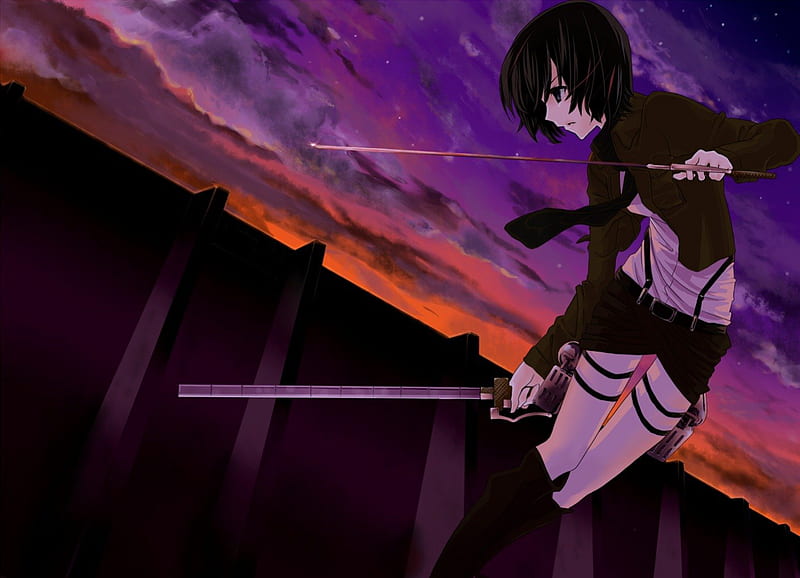 Mikasa Ackerman, girl, fighter, anime, manga, titan, sword, HD wallpaper