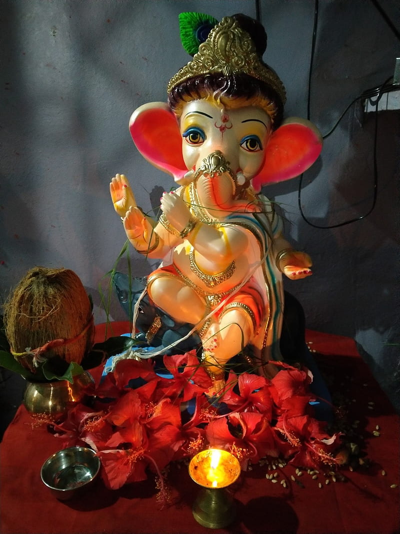 Ganesh ji, ganeshji, jai shree ganesh, HD phone wallpaper | Peakpx
