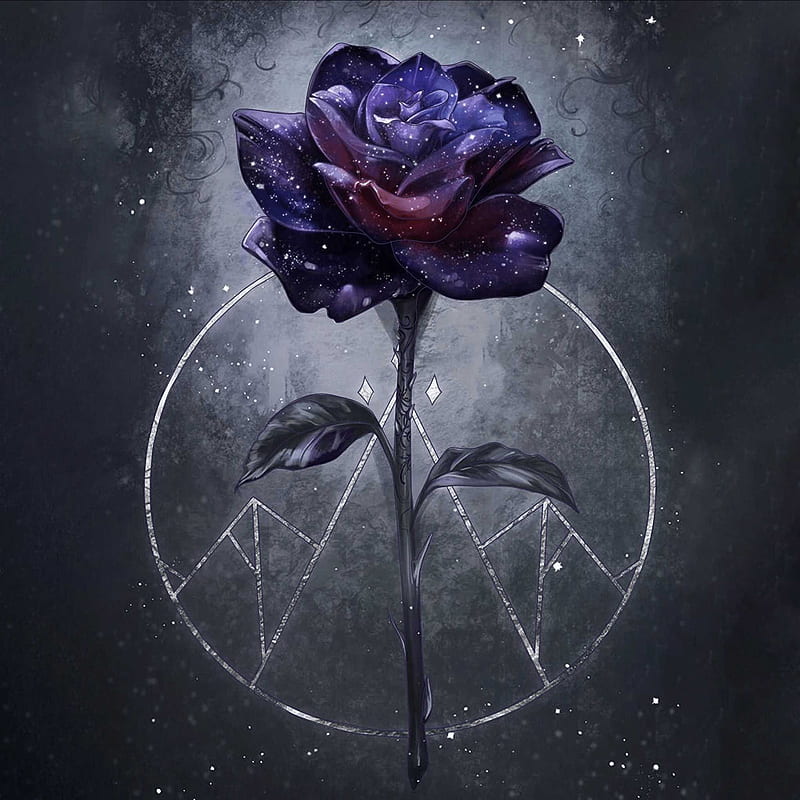 Dark Rose, abstract, art, dark love, flower, flowers, purple, roses, HD phone wallpaper