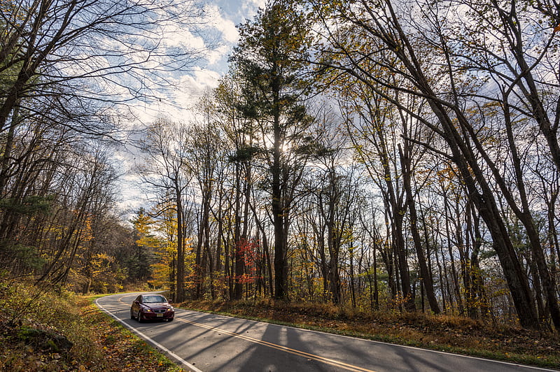 car, road, autumn, nature, HD wallpaper
