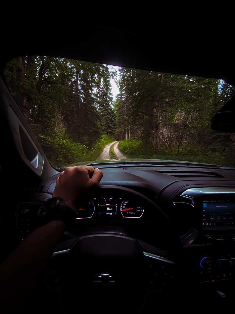 chevrolet, car, steering wheel, hand, forest, HD phone wallpaper