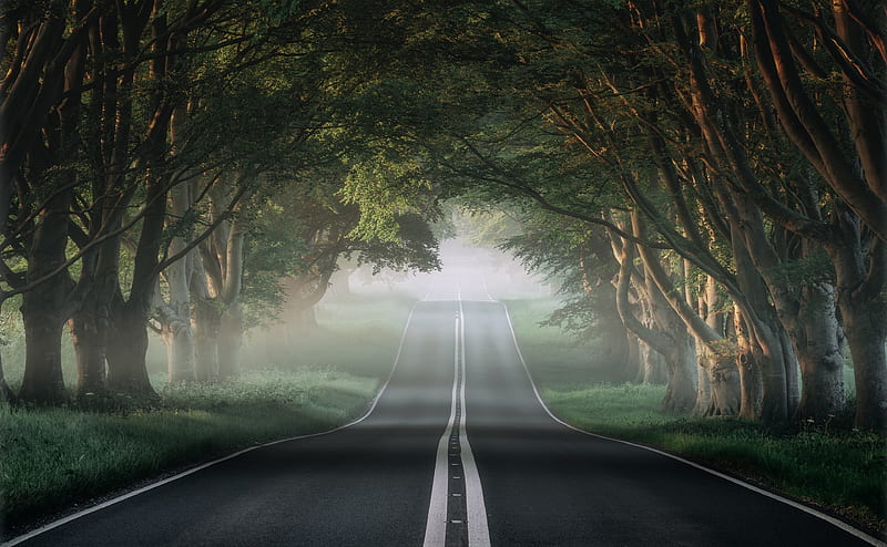 1920x1080px, 1080P free download | The Most Beautiful Road in The World ...