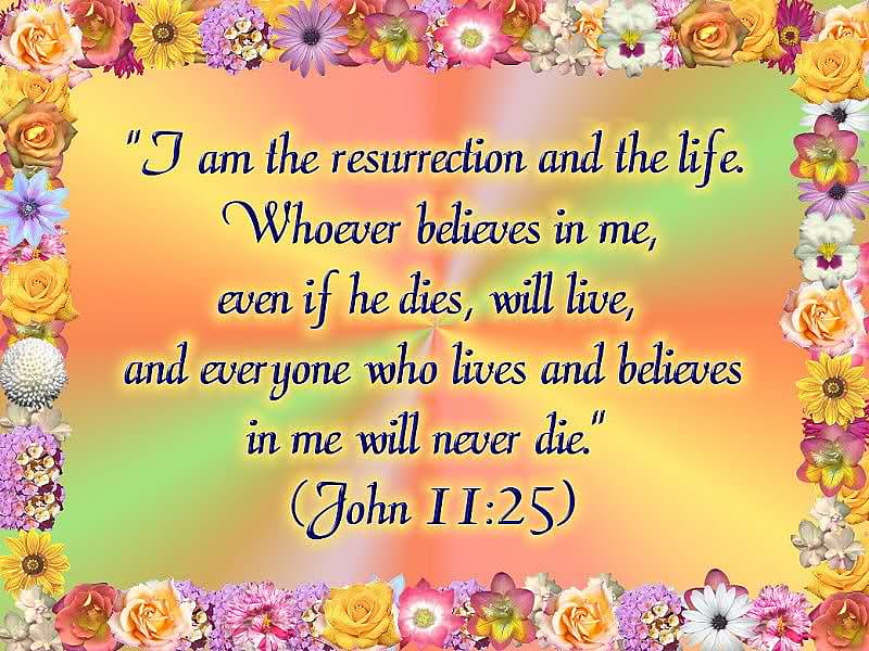 I want to live Forever..., life, sunlight, easter, believe, jesus, love, siempre, resurrection, sunshine, miracle, HD wallpaper