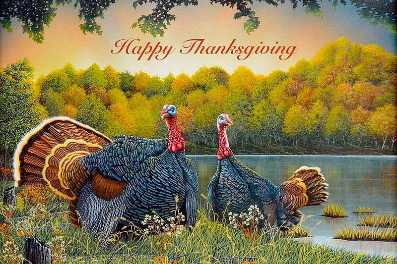 Happy Thanksgiving, forest, autumn, holiday, trees, pond, Thanksgiving, Outdoors, painting, Turkeys, nature, HD wallpaper