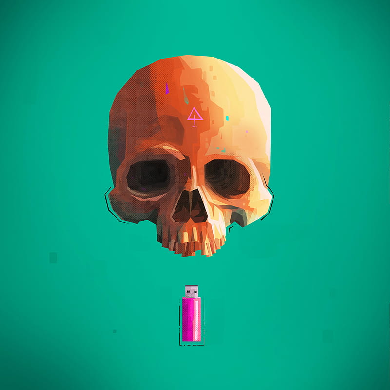 skull, skeleton, flash drive, art, HD phone wallpaper