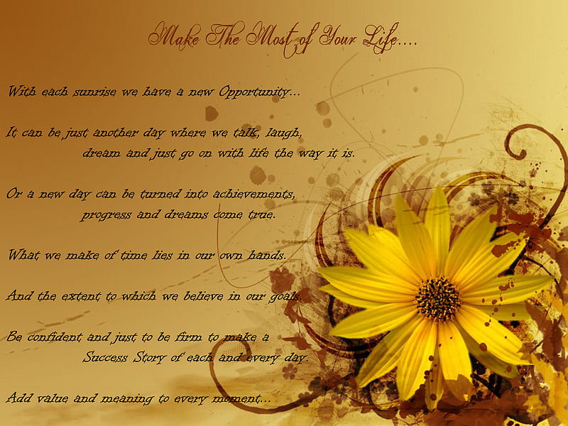 Make The Most Of Your Life, flower, yellow, life, quote, HD wallpaper