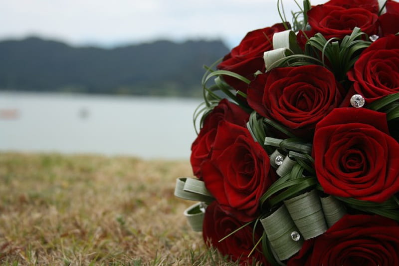 Passionate Red Roses, red, wonderful, passionate, roses, green, bouquet, dark, love, precious, flowers, nature, magnificent, bridal, HD wallpaper