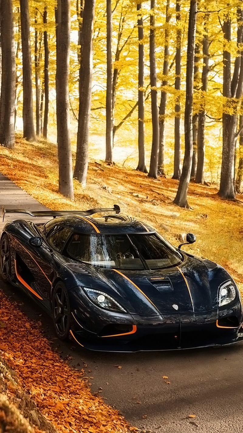 Koenigsegg, beast, black, carros, fast, gris, skyline, HD phone wallpaper
