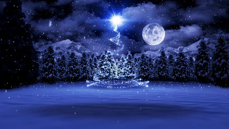 A MAGICAL NIGHT, WINTER, MOON, CHRISTMAS, SNOW, TREES, STARS, SKY, NIGHT, HD wallpaper