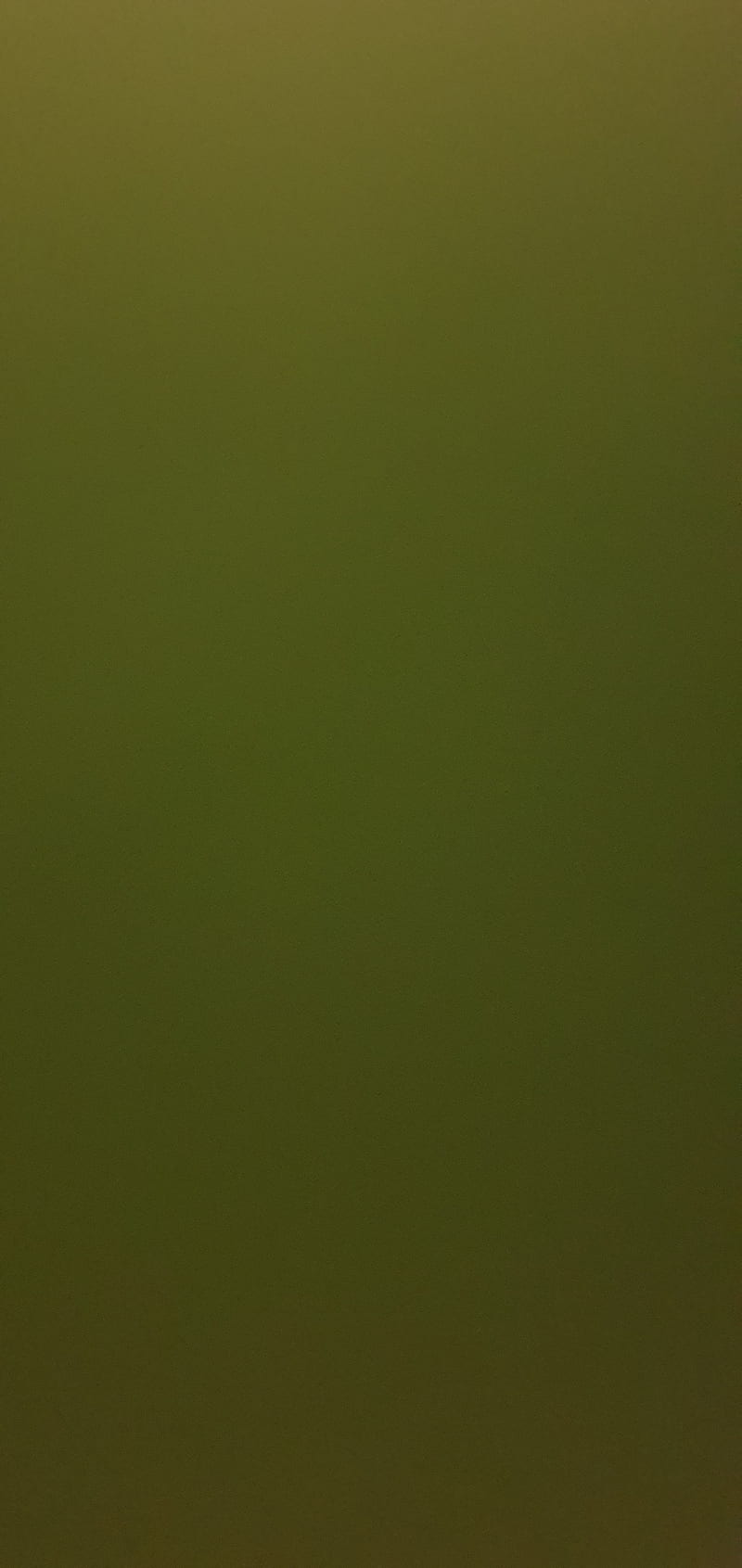Green, olive, HD phone wallpaper