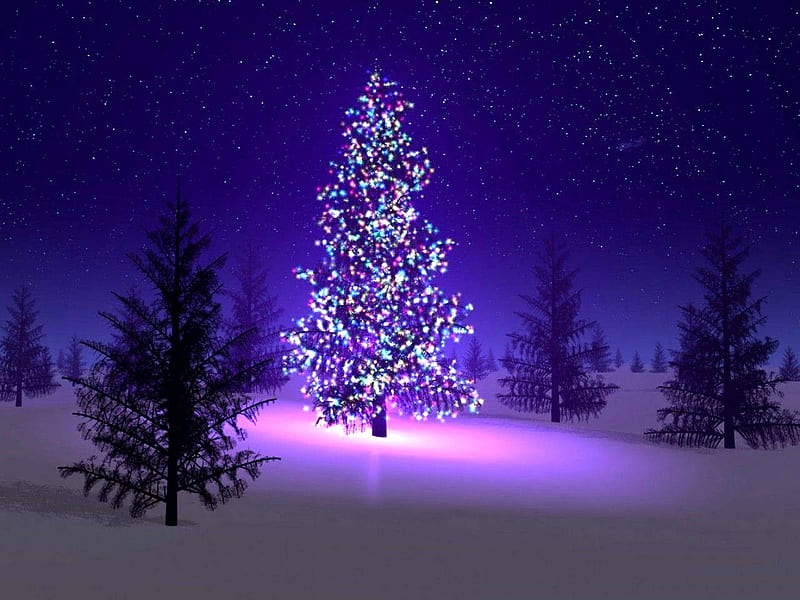 O CHRISTMAS TREE, stars, tree, christmas, snow, sky, lights, night, HD ...