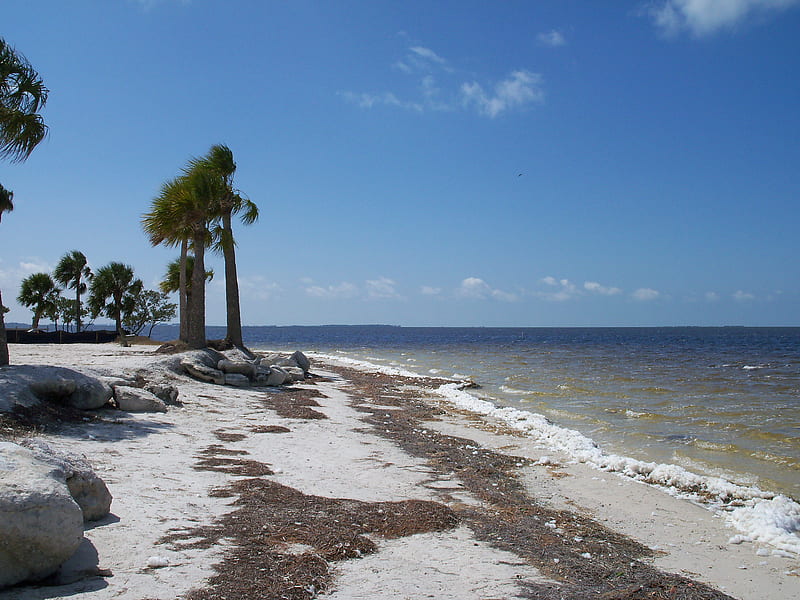 ~Sunset Beach~Tarpon Springs, Florida~, graph, rocks, ocean, bonito, palm trees, beach, florida, sand, mangroves, nature, HD wallpaper