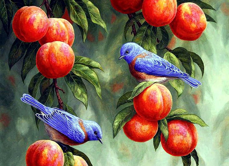 Bluebirds and Peaches, tree, twigs, fruits, painting, songbirds, artwork, HD wallpaper