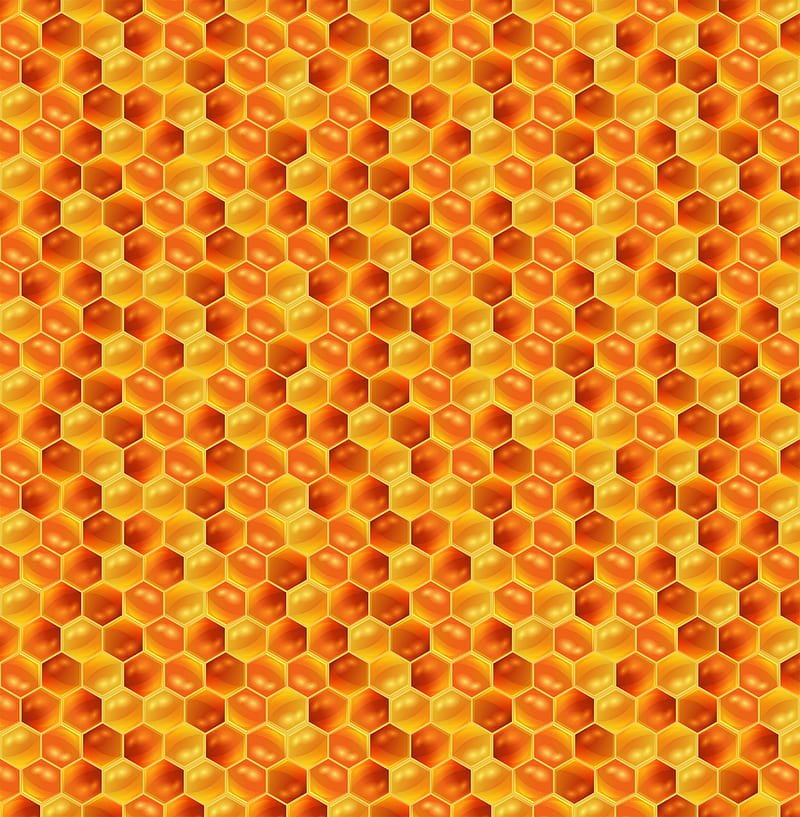 honeycombs, honey, pattern, texture, patterns, HD phone wallpaper