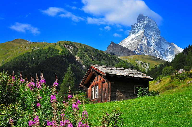 Zermatt-Switzerland, hills, Alps, house, view, grass, bonito, cabin, sky, mountain, paradise, wildflowers, peak, summer, slope, Switzeland, landscape, HD wallpaper