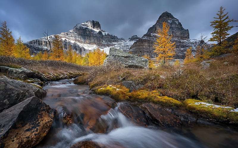 Rocky Mountain Stream in Autumn, Fall, Mountains, Streams, Autumn, Rocks, Rivers, Nature, HD wallpaper