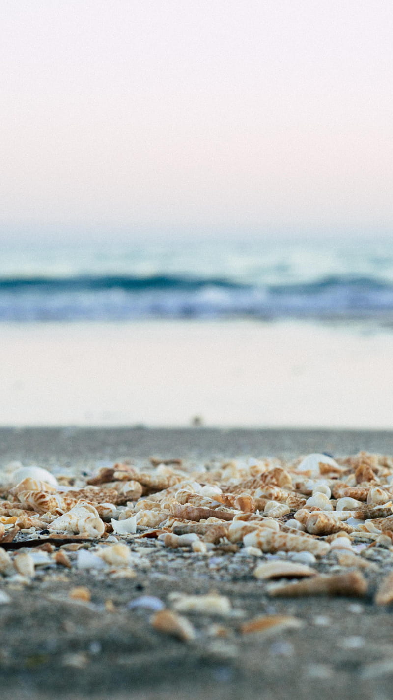 Shells, ocean, blur, water, beach, iphone, summer, spring, fall, HD phone wallpaper