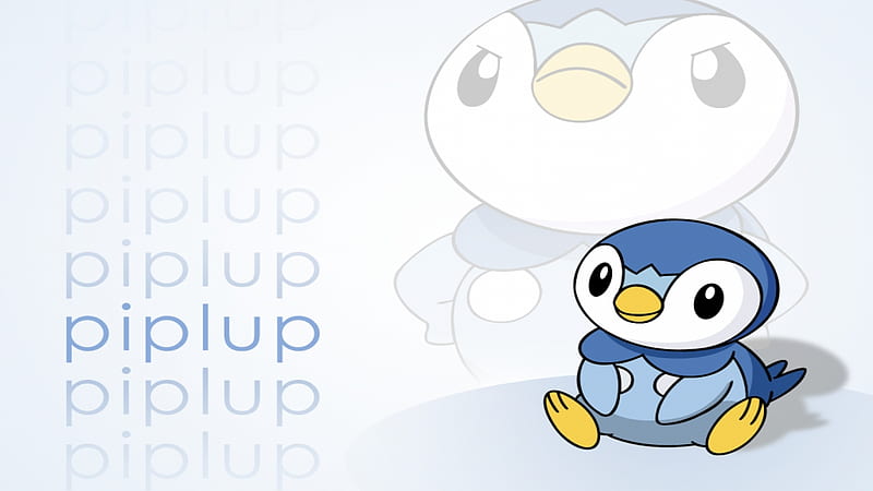 Pokémon Trainers Dawn and Piplup Wallpaper  Cat with Monocle