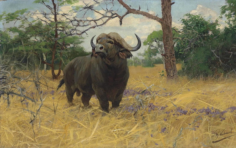 A Kaffir buffalo, art, cow, painting, buffalo, friedrich wilhelm kuhnert, kaffir, horns, animal, HD wallpaper