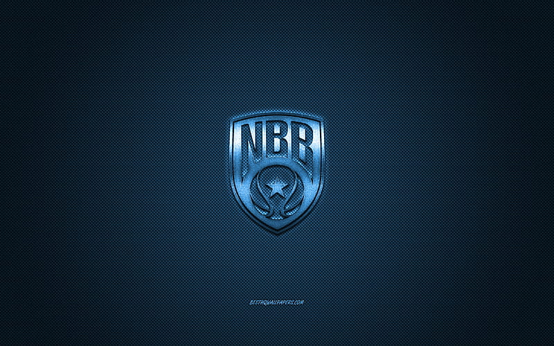 New Basket Brindisi, Italian basketball club, blue logo, LBA, blue carbon fiber background, Lega Basket Serie A, basketball, Brindisi, Apulia, Italy, New Basket Brindisi logo, HD wallpaper