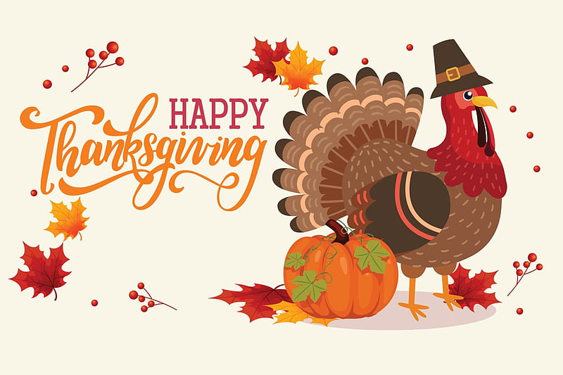 Holiday, Thanksgiving, Happy Thanksgiving, HD wallpaper | Peakpx