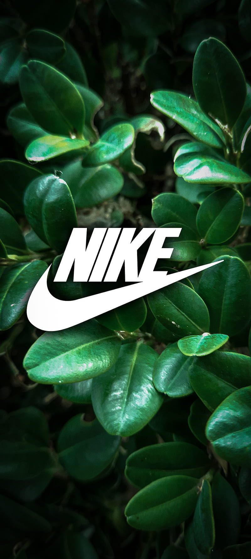 Đừng bỏ lỡ hình ảnh Nike đầy cuốn hút với phông nền màu xanh lá cây sẽ mang lại cảm giác tươi mới và sự tự tin cho người sử dụng.