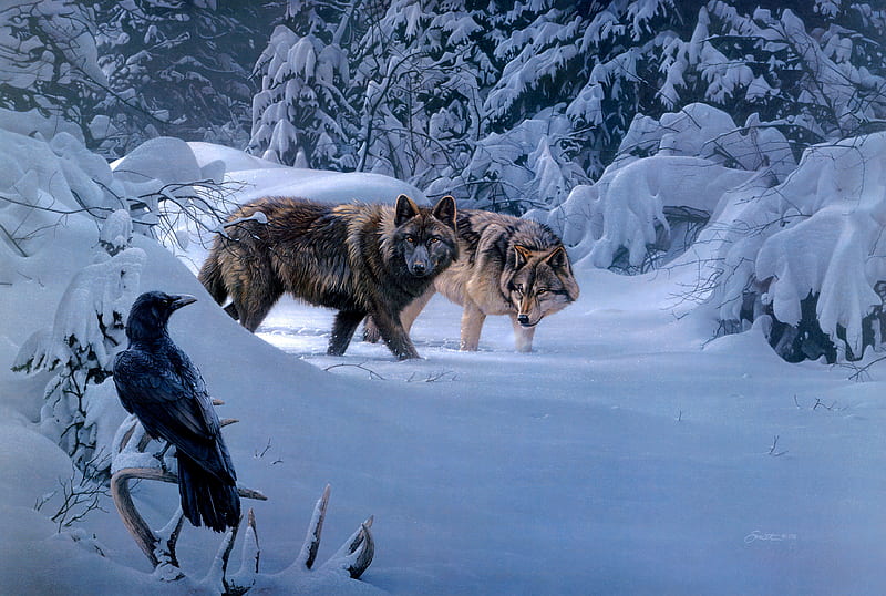 Animal, Wolf, Bird, Raven, Winter, HD wallpaper
