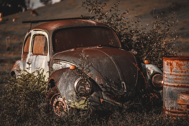 vintage abandoned car, volkswagen beetle, retro, Vehicle, HD wallpaper