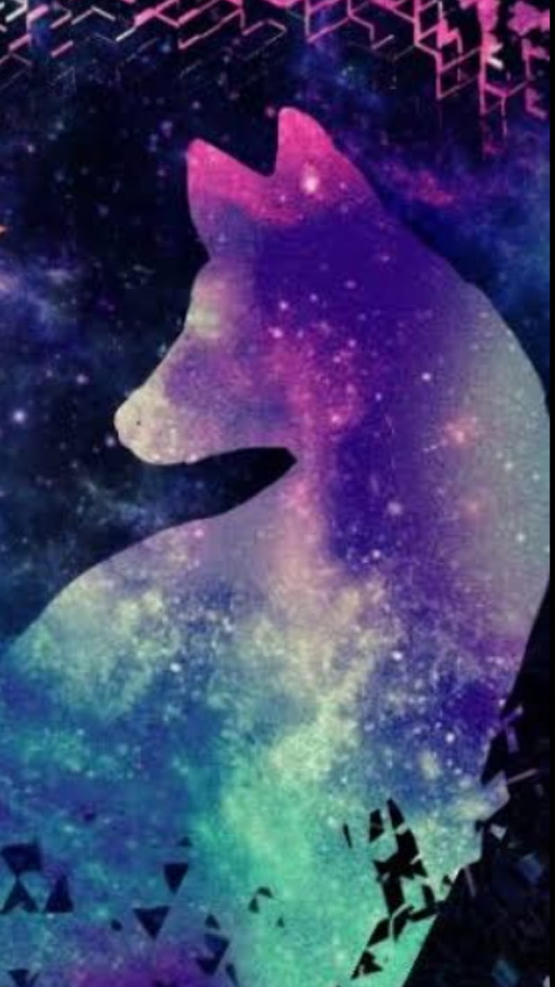 Galaxy fox, colour, sparkle, twilight, HD phone wallpaper