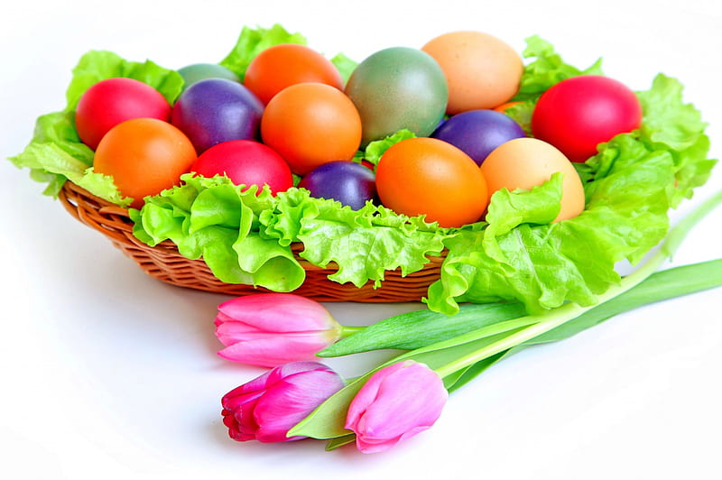 EASTER EGGS FOR ALL DN FRIENDS, lovely, bonito, easter, leaf, leaves, eggs, flower, flowers, colors of easter, tulips, shells, pink, HD wallpaper