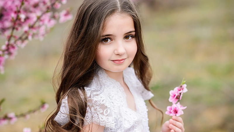 Little Cute Girl Is Having Pink Flowers In Hand Wearing White Dress Cute, HD wallpaper