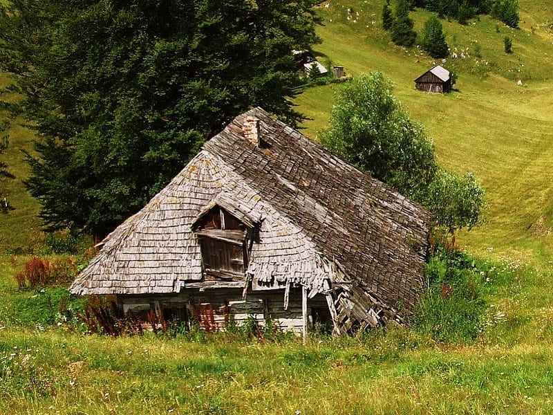 ONCE UPON A TIME, deserted, decay, thatch, houses, farms, fields, trees, abandoned, HD wallpaper