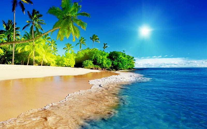 Tropical beach, glow, sun, shine, bonito, sea, beach, tropics, rest ...
