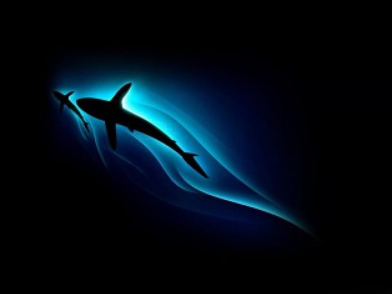 SWIM, sharks, 3d, ocean, HD wallpaper