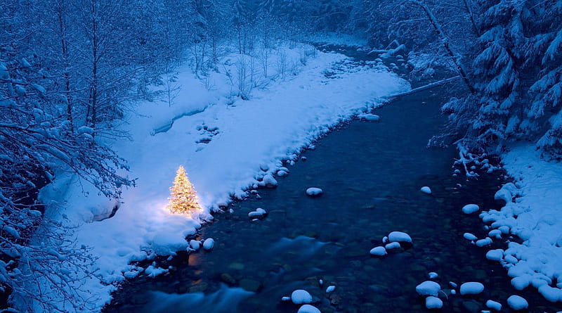 small christmas tree by a wonderful river, tree, river, christmas, winter, HD wallpaper