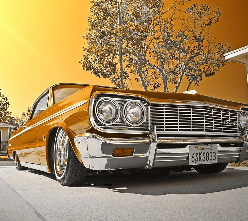 1964 Chevy, chevrolet, gold car, muscle car, sunset, HD wallpaper