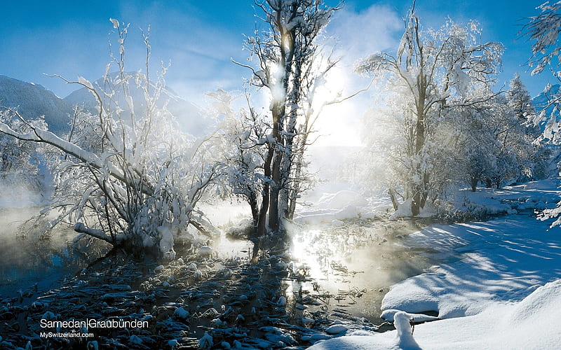 Sunlight through Snow Covered Trees-Switzerland Winter Landscape, HD wallpaper