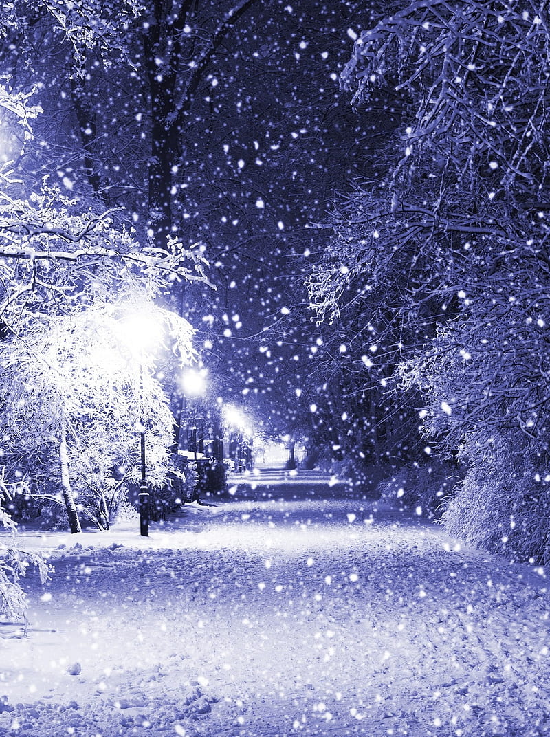 Winter Night, blue, christmas, dark, HD phone wallpaper