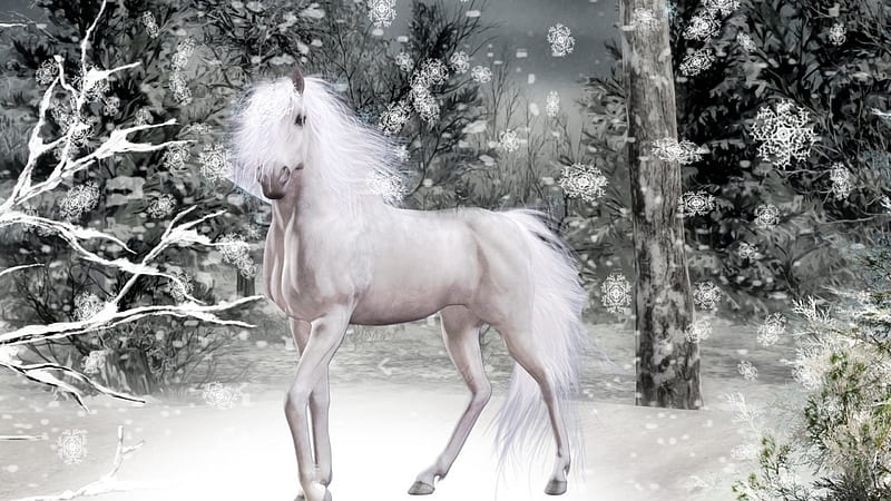 Magical Winter Horse, forest, holiday, New Year, woods, trees, horse, winter, snowing, snow, snowflakes, 2014, HD wallpaper