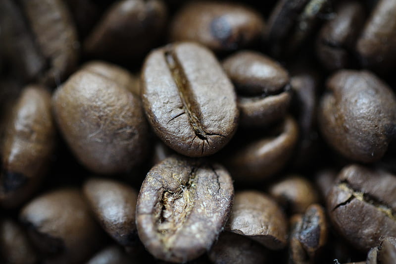 coffee beans, beans, coffee, roasting, macro, HD wallpaper