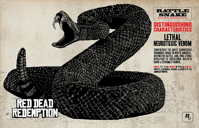 red dead redemption rattle snake, awesome, cool, neat, HD wallpaper