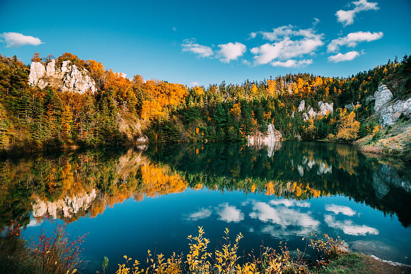 autumn, lake, trees, water, reflection, HD wallpaper