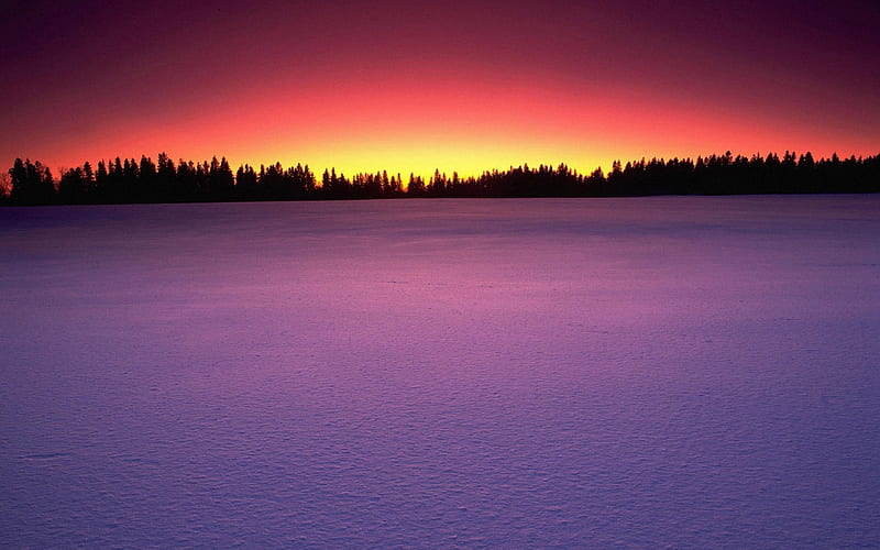 frozen lake manitoba canada, sunset, trees, frozen, lake, HD wallpaper