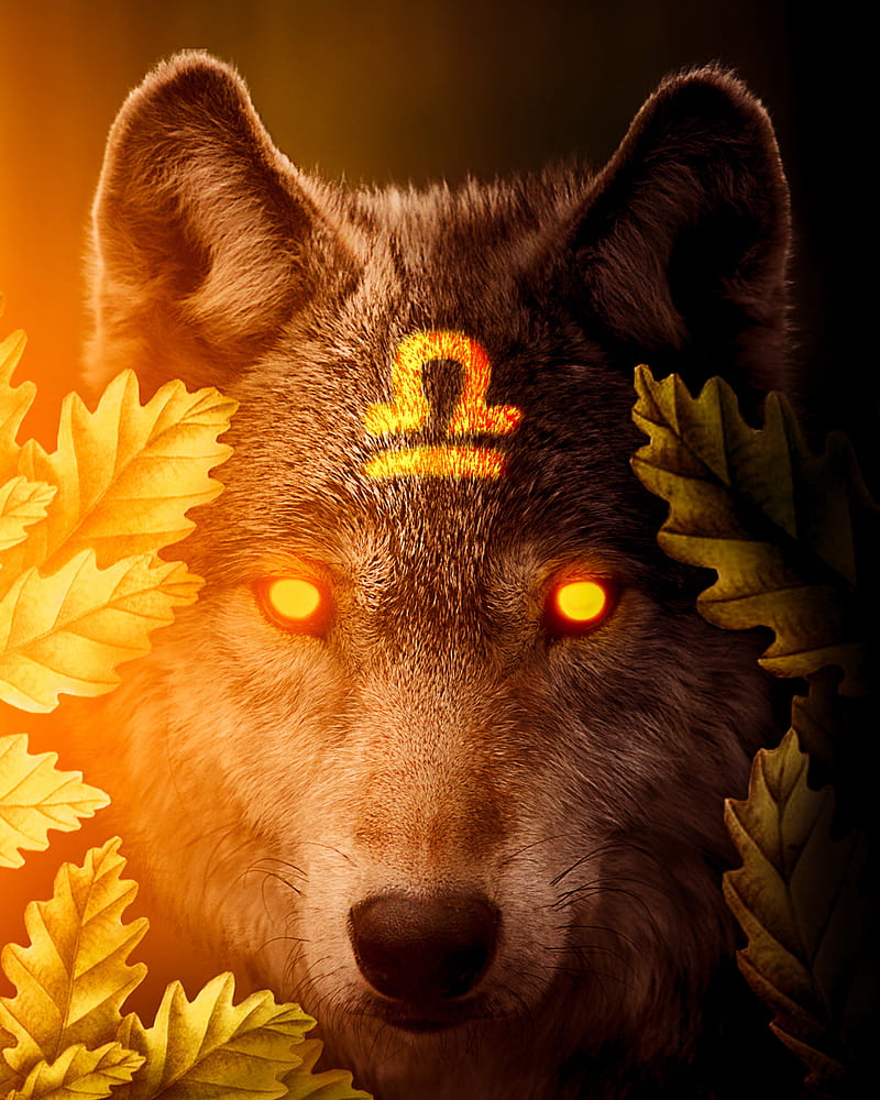 Libra wolf, animals, fox, howl, teen, HD phone wallpaper | Peakpx