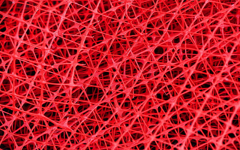 red red macro, fabric mesh texture, mesh backgrounds, red backgrounds, mesh textures, HD wallpaper