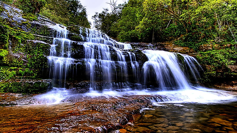 The Living Waterfall, rocks, beauty, waterfall, forest, HD wallpaper |  Peakpx
